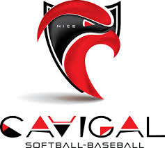 team logo